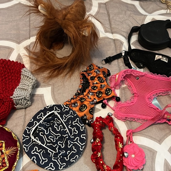 XS Dog harnesses and hats. - Picture 3 of 5